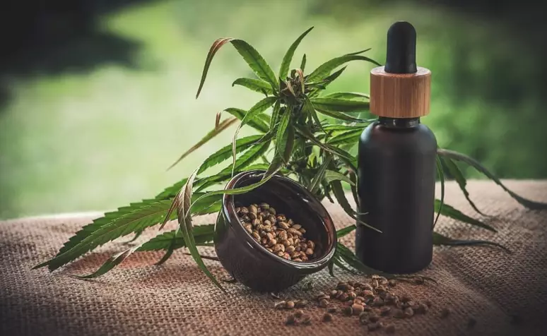 Cannabis Medicinal: cuidado com as interações medicamentosas